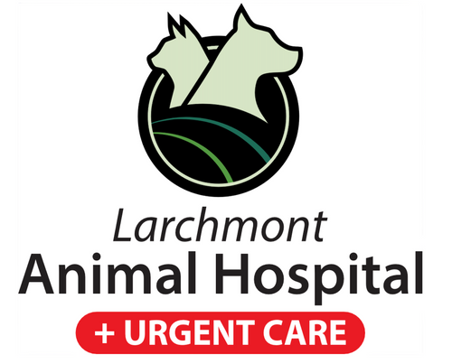 Larchmont Animal Hospital + Urgent Care